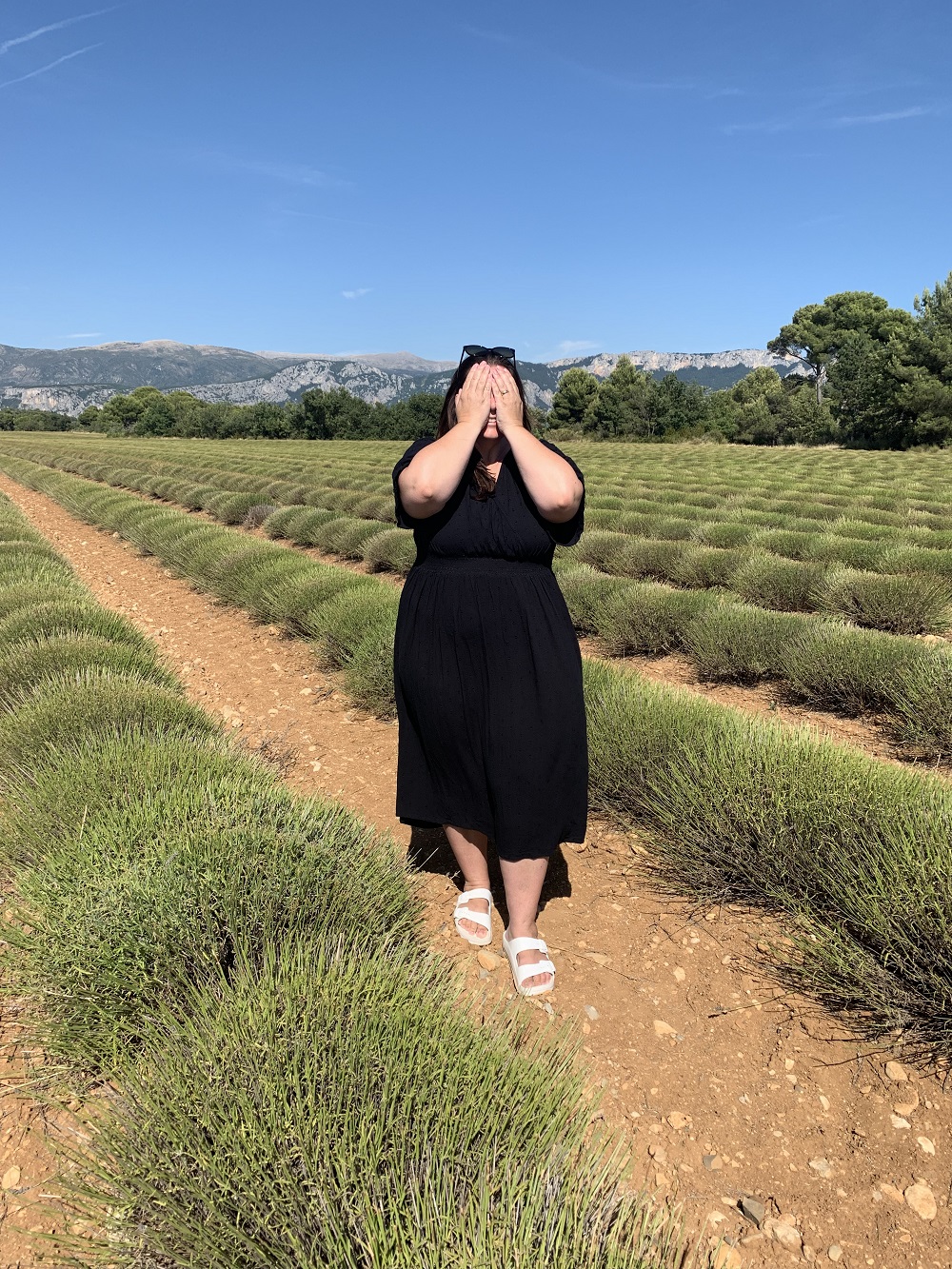 Høstet lavendelmark i Provence og skuffet rejseblogger