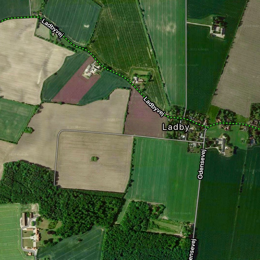 Find de lilla purløgsmarker med Googlemaps
