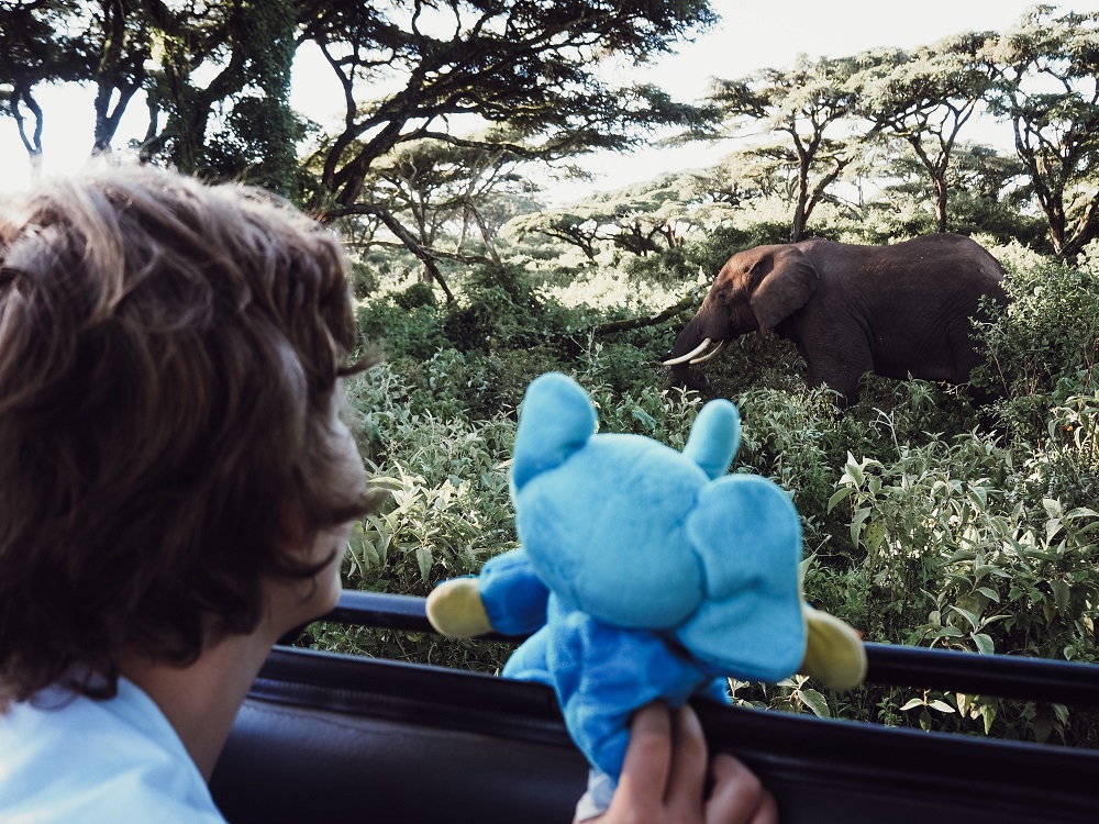 Adam elsker elefanter safari for børn Tanzania